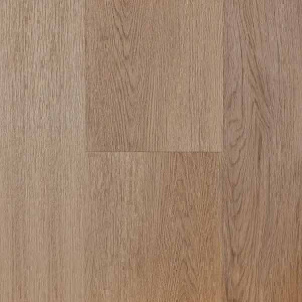 Oostende • Plank XL