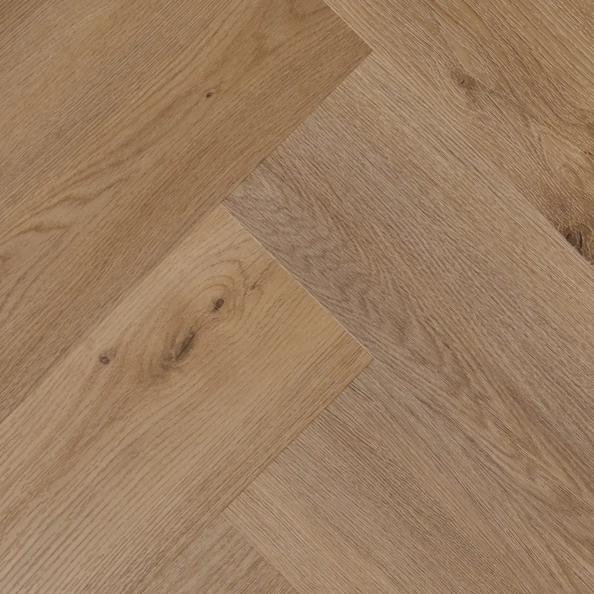 Oostende • Visgraat XL