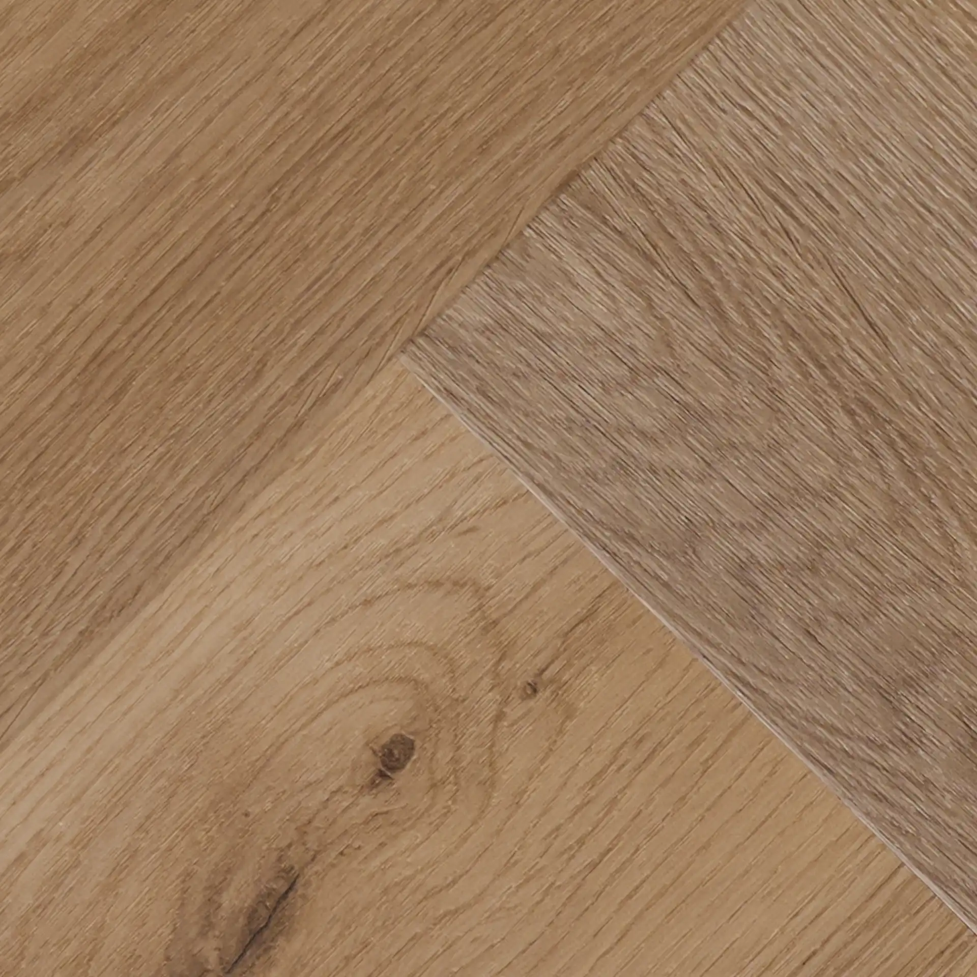 Oostende • Visgraat XL - Afbeelding 2