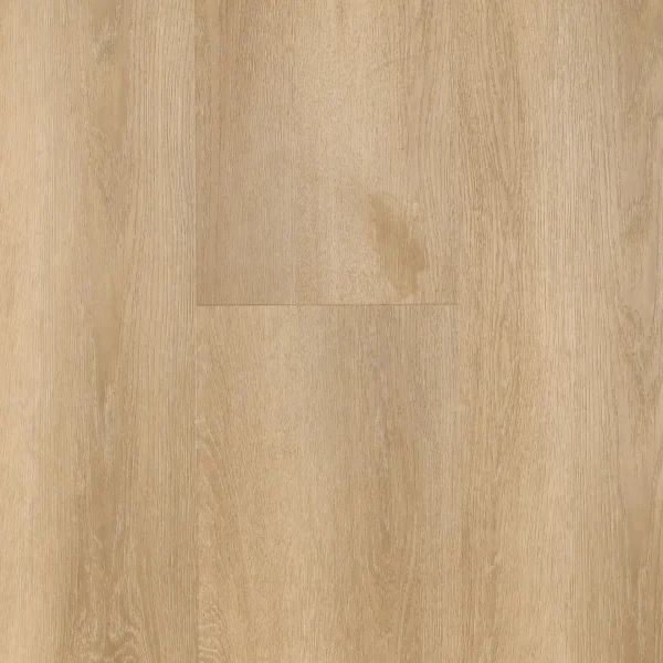 Zoutelande • Plank XL