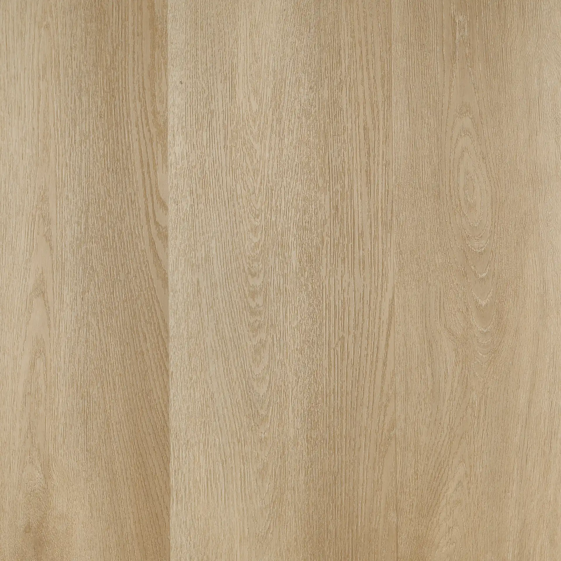 Cadzand • Plank XL