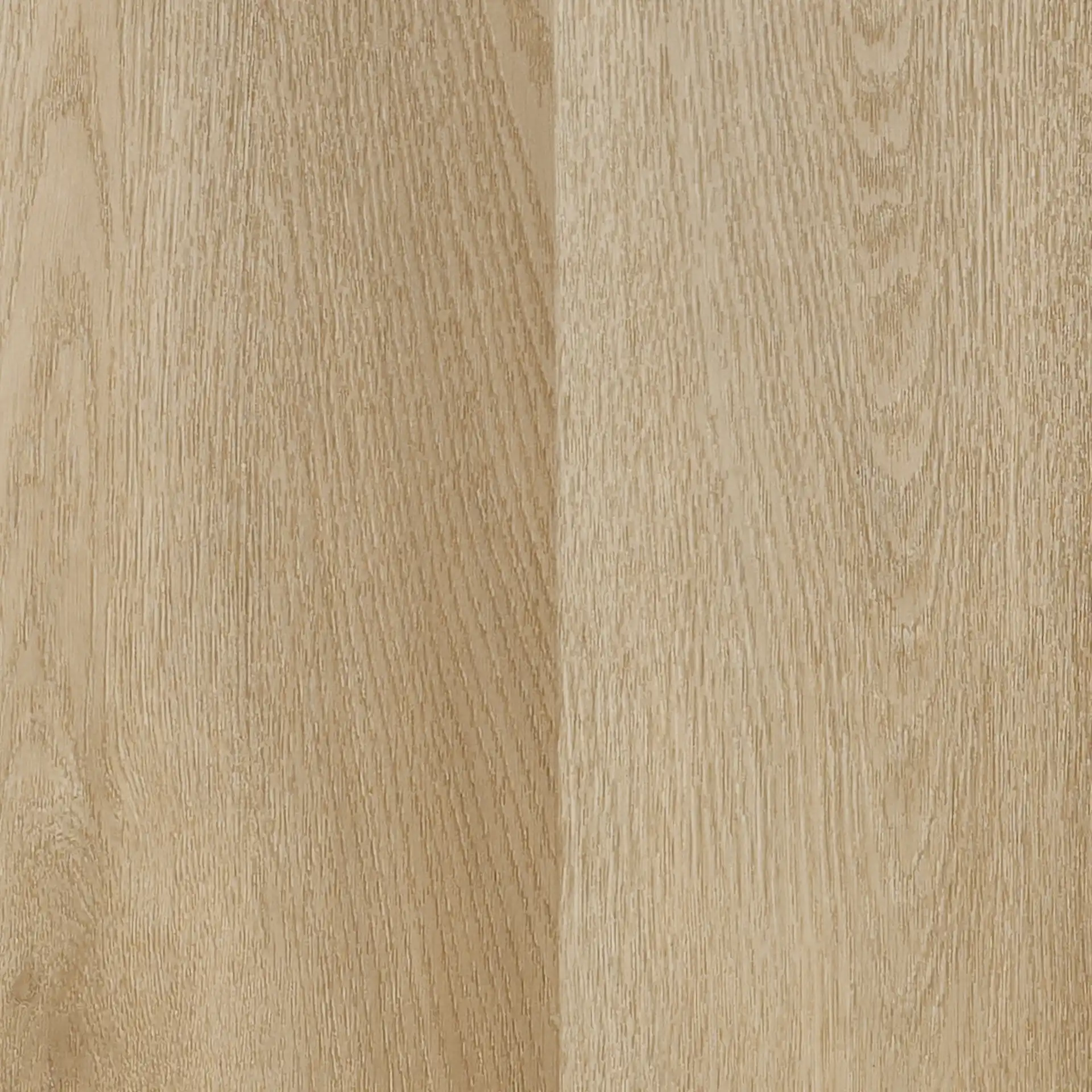 Cadzand • Plank XL - Afbeelding 2