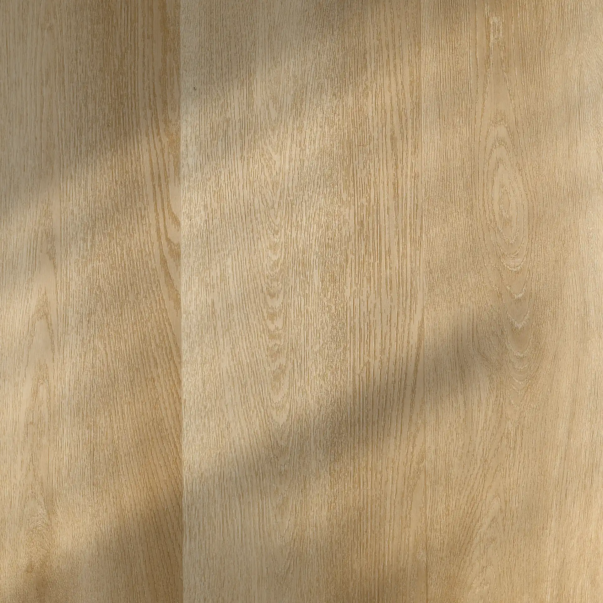 Cadzand • Plank XL - Afbeelding 3