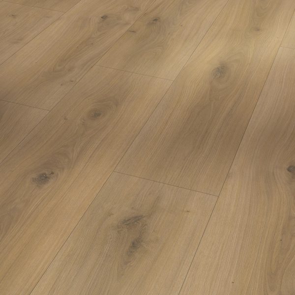 Eiken Horizont Natuur