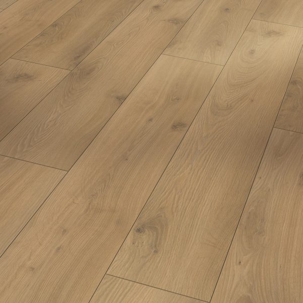 Eiken Tradition Natuur